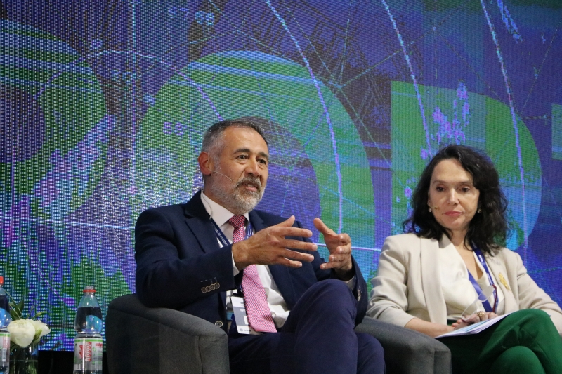  Imágen 4 - Galería