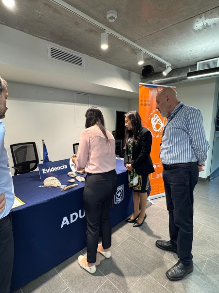  Imágen 4 - Galería