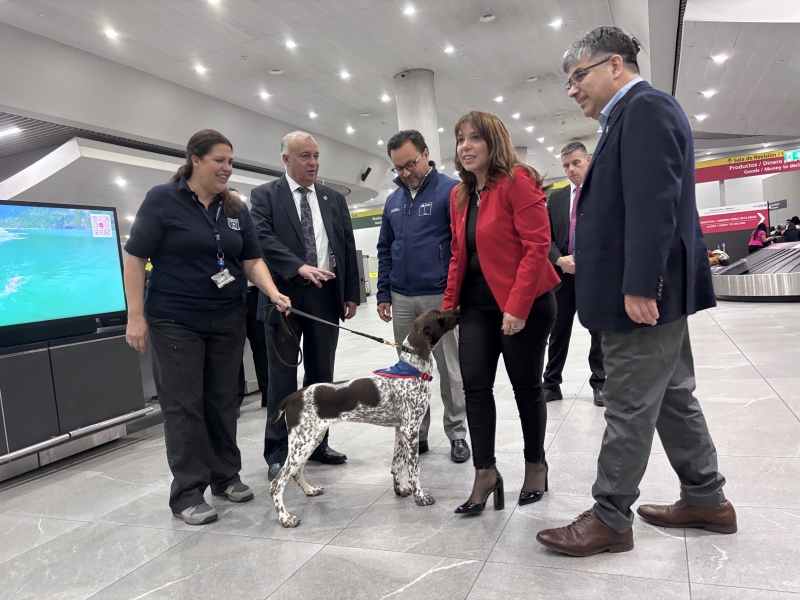  Imágen 1 - Galería