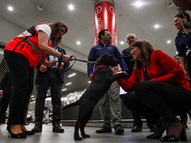  Imágen 4 - Galería