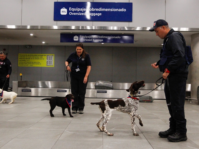  Imágen 5 - Galería