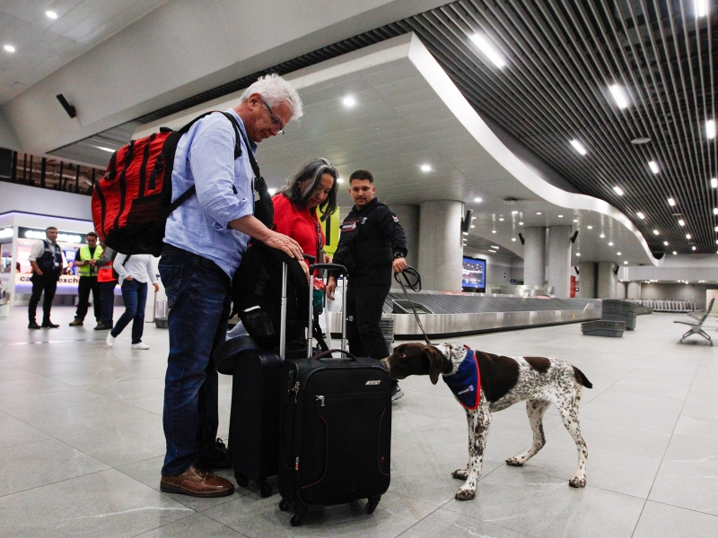  Imágen 8 - Galería