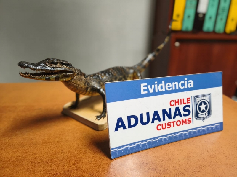  Imágen 2 - Galería